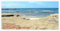 Spiaggia Fungia (37)