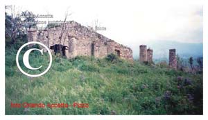 Pime-Casale di Rocca Angitola (16)