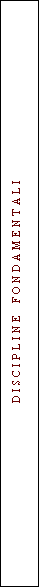 Casella di testo: D I S C I P L I N E    F O N D A M E N T A L I